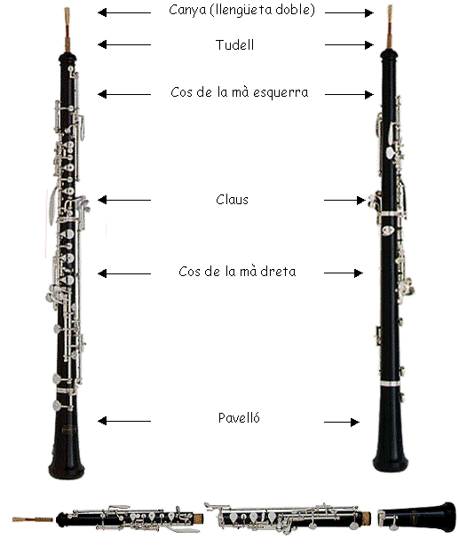 oboe_parts