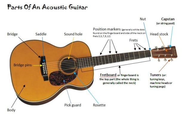 Parts-Of-An-Acoustic-Guitar